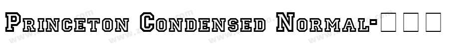 Princeton Condensed Normal字体转换